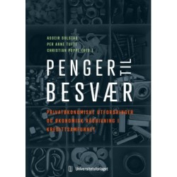 Penger til besvær : privatøkonomiske utfordringer og økonomisk rådgivning i kredittsamfunnet
