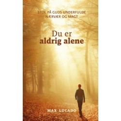 Du er aldrig alene: Stol på Guds underfulde nærvær og magt