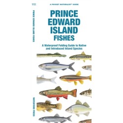 Prince Edward Island Fishes: A Folding Guide to Native and Introduced Freshwater Species