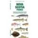 Nova Scotia Fishes: A Folding Guide to Native and Introduced Freshwater Species