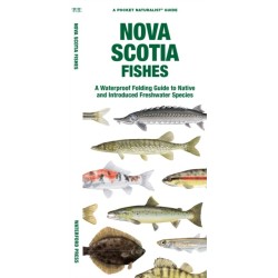 Nova Scotia Fishes: A Folding Guide to Native and Introduced Freshwater Species