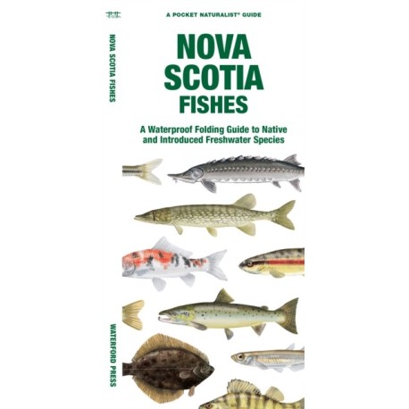 Nova Scotia Fishes: A Folding Guide to Native and Introduced Freshwater Species