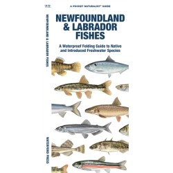 Newfoundland & Labrador Fishes: A Folding Guide to Native and Introduced Freshwater Species