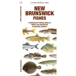 New Brunswick Fishes: A Folding Guide to Native and Introduced Freshwater Species