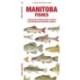 Manitoba Fishes: A Folding Guide to Native and Introduced Freshwater Species