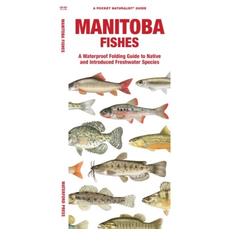 Manitoba Fishes: A Folding Guide to Native and Introduced Freshwater Species