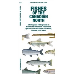 Fishes of the Canadian North: A Folding Guide to Native and Introduced Freshwater Species of the Northwest Territories, Nunavut and Yukon