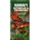 Hawai'i Butterflies & Pollinators, 2nd Ed: A Folding Pocket Guide to Familiar Species