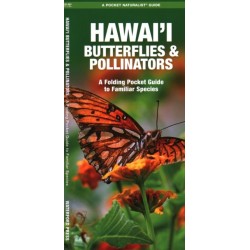 Hawai'i Butterflies & Pollinators, 2nd Ed: A Folding Pocket Guide to Familiar Species