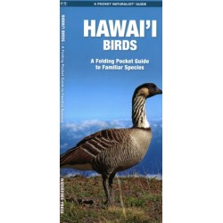 Hawai'i Birds, 2nd Ed: A Folding Pocket Guide to Familiar Species
