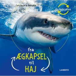 Fra ægkapsel til haj