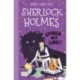 Sherlock Holmes 9: Kvinden med sløret