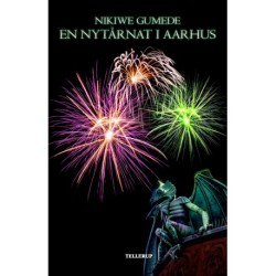 En nytårsnat i Aarhus (Vinder af Herlufsholm 2018 novellekonkurrence (10-12 år))
