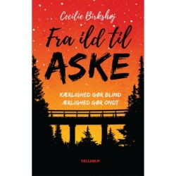 Det ingen ser -1: Fra ild til aske