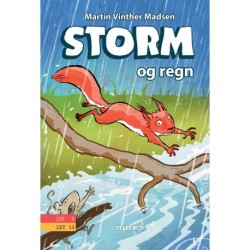 Storm -2: Storm og regn