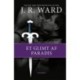 The Black Dagger Brotherhood -23: Et glimt af paradis: Legacy -2