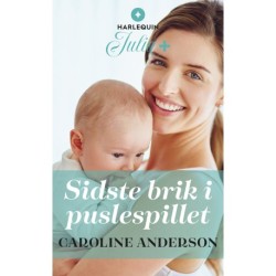 Sidste brik i puslespillet