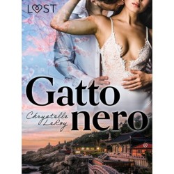 Gatto nero - Un racconto erotico