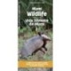 Miami Wildlife/Vida Silvestre de Miami: A Folding Pocket Guide to Familiar Animals/Una Guia Plegable Portatil de Animales Conocidas