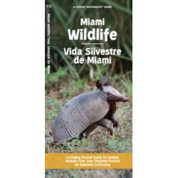 Miami Wildlife/Vida Silvestre de Miami: A Folding Pocket Guide to Familiar Animals/Una Guia Plegable Portatil de Animales Conocidas