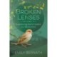 Broken Lenses, Volume 3: Experiencing God's Freedom in a World of Sin