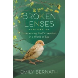 Broken Lenses, Volume 3: Experiencing God's Freedom in a World of Sin
