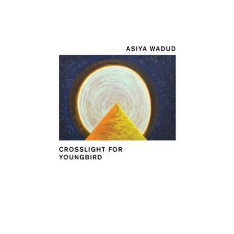 Crosslight for Youngbird