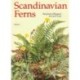 Scandinavian ferns: a natural history of the ferns, clubmosses, quillworts and horsetails of Denmark, Norway, and Sweden