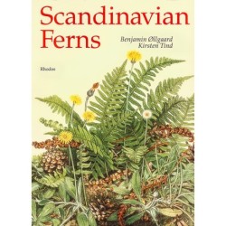 Scandinavian ferns: a natural history of the ferns, clubmosses, quillworts and horsetails of Denmark, Norway, and Sweden