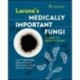Larone's Medically Important Fungi: A Guide to Identification