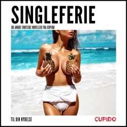 Singleferie – og andre erotiske noveller fra Cupido