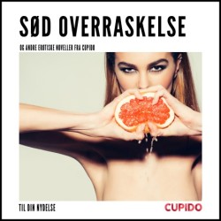 Sød overraskelse - og andre erotiske noveller fra Cupido