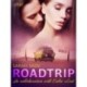 Roadtrip – eroottinen novelli