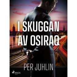 I skuggan av Osiraq