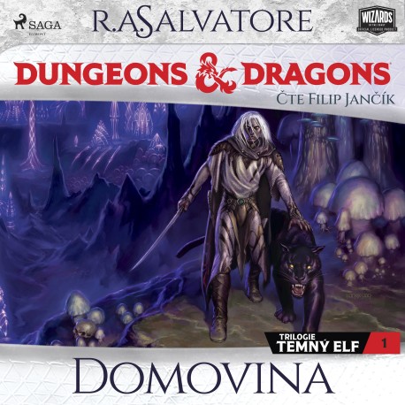Dungeons & Dragons. Legenda o Drizztovi. Temný elf 1: Domovina