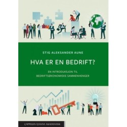 Hva er en bedrift? : en introduksjon til bedriftsøkonomiske sammenhenger