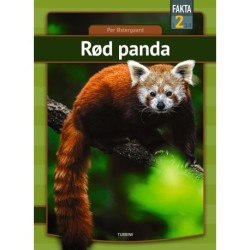 Rød panda