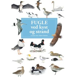 Fugle ved kyst og strand