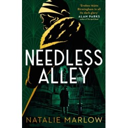 Needless Alley: The critically acclaimed historical crime debut