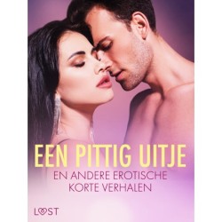 Een pittig uitje en andere erotische korte verhalen
