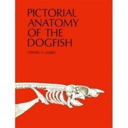 Pictorial Anatomy of the Dogfish