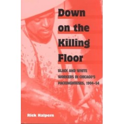 Down on the Killing Floor: Black and White Workers in Chicago's Packinghouses, 1904-54