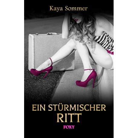 Ein stürmischer Ritt