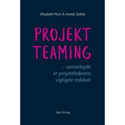 Projektteaming: – samarbejde er projektlederens vigtigste redskab