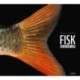 FISK – scaled-up