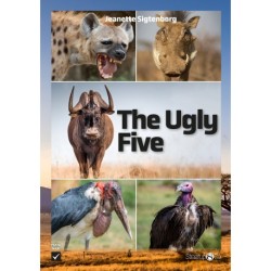 The Ugly Five