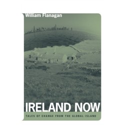 Ireland Now: Tales of Change from the Global Island