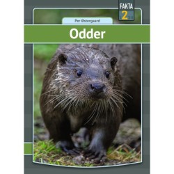 Odder