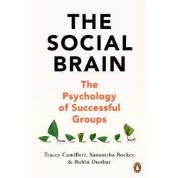 The Social Brain: The Psychology of Successful Groups