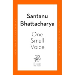 One Small Voice: An Observer best debut novel for 2023